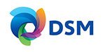 logo_DSM